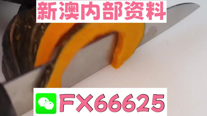 揭发:新澳门精准资料大全管家婆料,警惕虚假宣传-全面释义、解释与落实